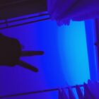 のらねこメルト