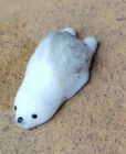 ゆきこ