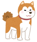美緒