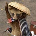 ヒィッツカラルド