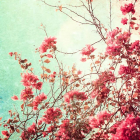 つきしろ ほとり