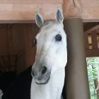 ハルハル(春a裏)