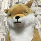 さやかオンザライス