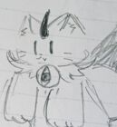 蜜柑猫