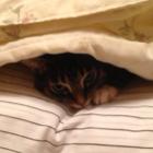 秋月　冥弥【Akizuki Meibi】