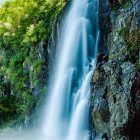 うどんとみそ犬