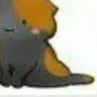 鍵しっぽ