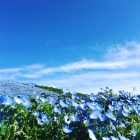 宮城島　優恭。