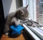 アベルンルンバ