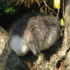 ふれんどりっち