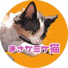 まさかミケ猫