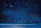 天野流星