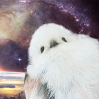 君にあげるキムチなんて無い