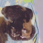 卍＊ﾅｶﾞﾏﾂ＊卍