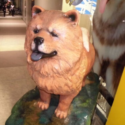 みさかたくろう