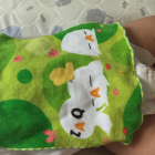 子ネコ猫