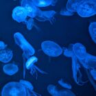 2525しよ＼(^o^)／