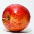 林檎