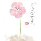 倉敷　零那
