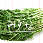 ༺みずな(ｼｬｷｼｬｷ)࿐