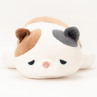 あかり