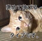 けんた(猫好き)