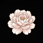 藤宮稜