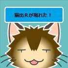 猫出Ｒ