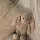 ここあぶらうん🐰