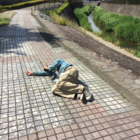 金田俊之