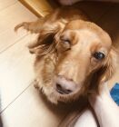 初めての書き出し小説風