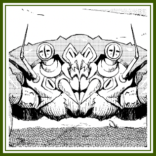 モンブランクラブ