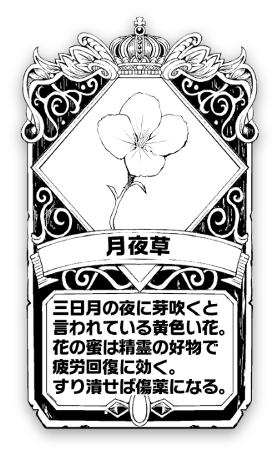 月夜草 三日月の夜に芽吹くと言われている黄色い花。花の蜜は精霊の好物で疲労回復に効く。すり潰せば傷薬になる。