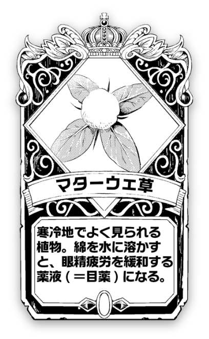 マターウェ草 寒冷地でよく見られる植物。綿を水に溶かすと、眼精疲労を緩和する薬液（＝目薬）になる。